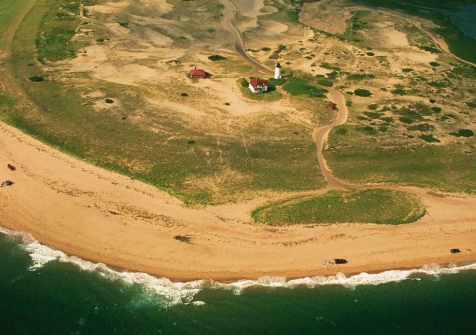 Cleaning Up the Cape's Algae Problem