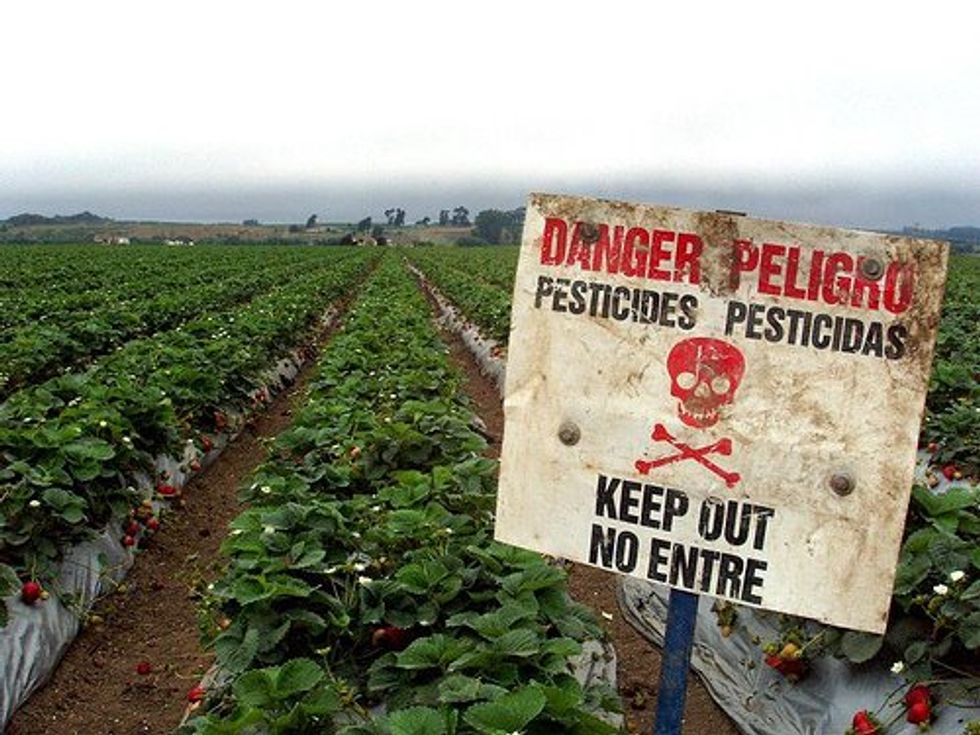 Before Trial, Victims of Pesticide Corporations Share Their Stories