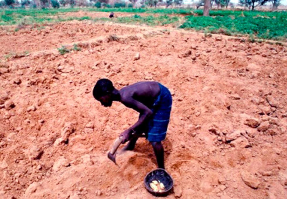 Changes in Climate Trends Impacting Livelihoods and Food Security in the Sahel and West Africa
