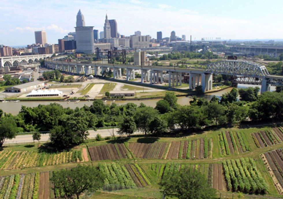 Urban Agriculture Study Highlights National Best Practices