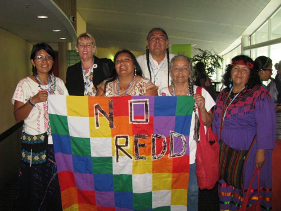 Indigenous Peoples Call for a Moratorium on REDD+