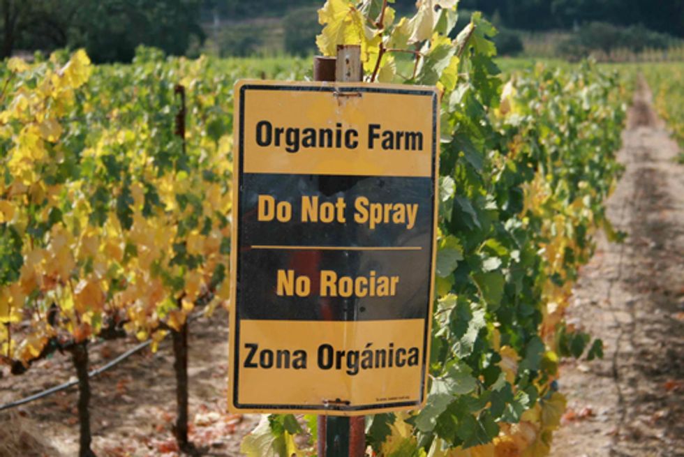Startling Differences in Canadian Produce Pesticide Residue Levels