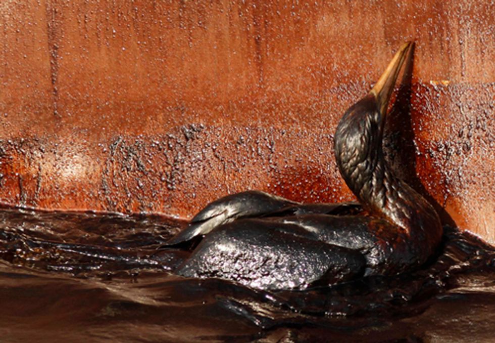 New Oil Drilling Lease Ignores Deepwater Horizon Disaster