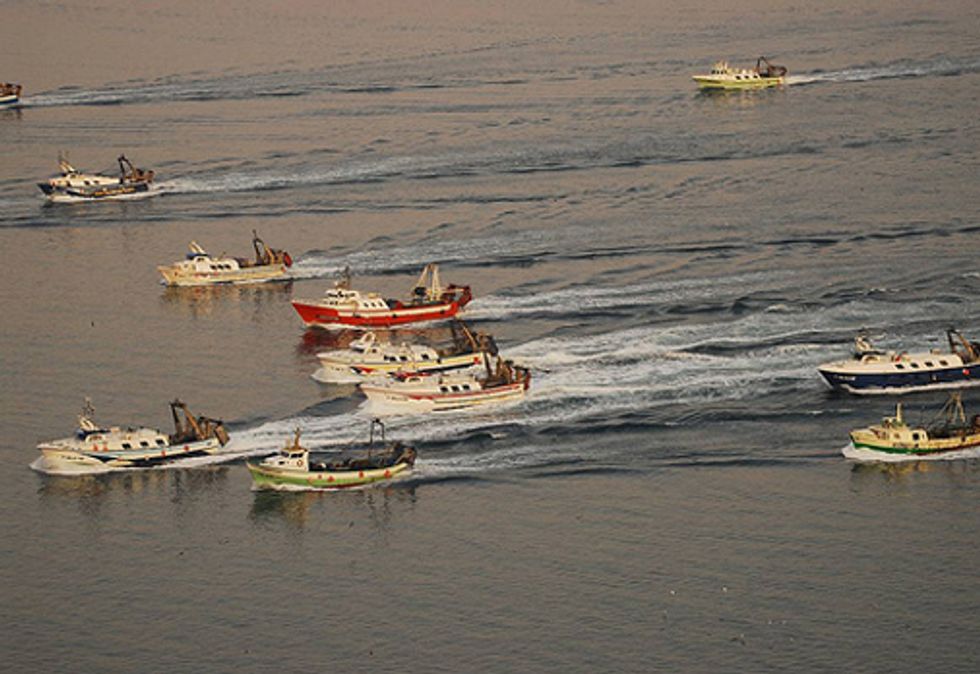 Trade Ministers Call for Action on Dangers of Fishing Subsidies