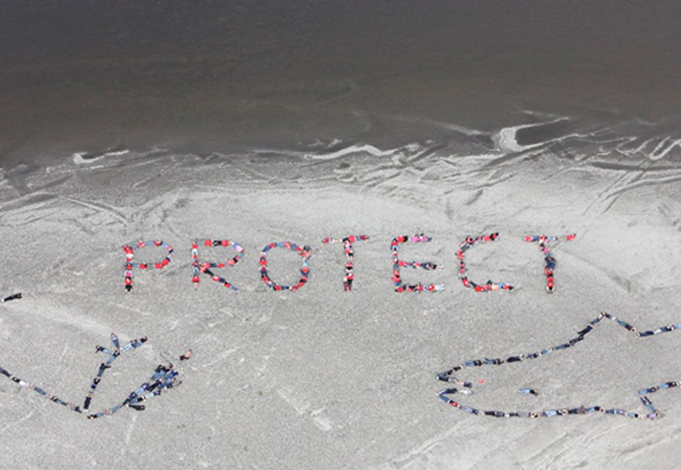 Congress Throws Arctic under Politically-Driven Omnibus
