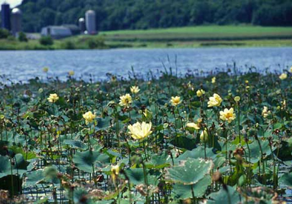 Program Rewards Farmers and Ranchers for Environmental Stewardship