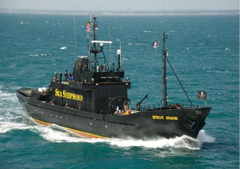 Japanese Police Harass Marine Wildlife Conservationists
