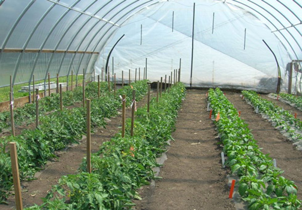 Research Projects Cover Economics, Energy Use and Beginning Farmers