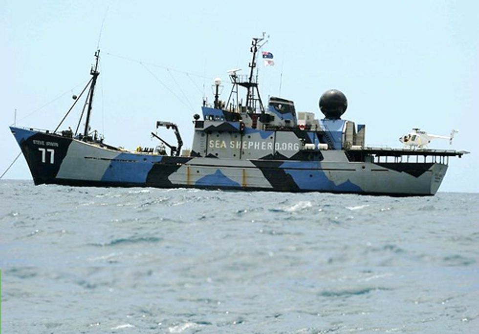 Sea Shepherd Intercepts Japanese Whaling Fleet with Drones