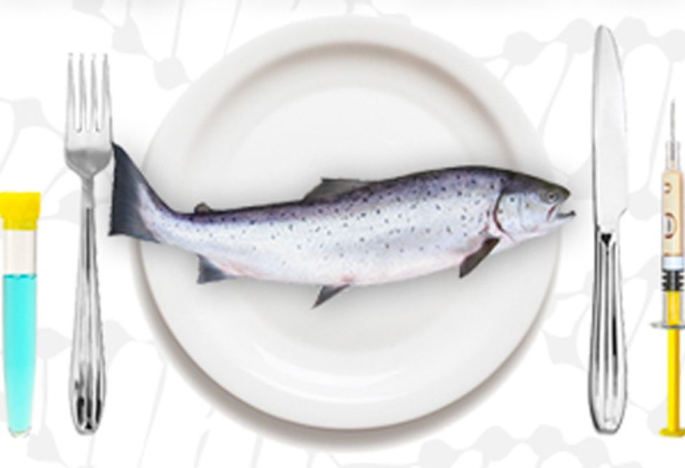 Five Outrageous Food Stories of 2011