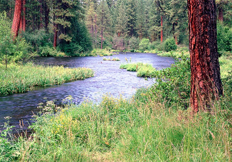 New Year’s Resolutions for Rivers
