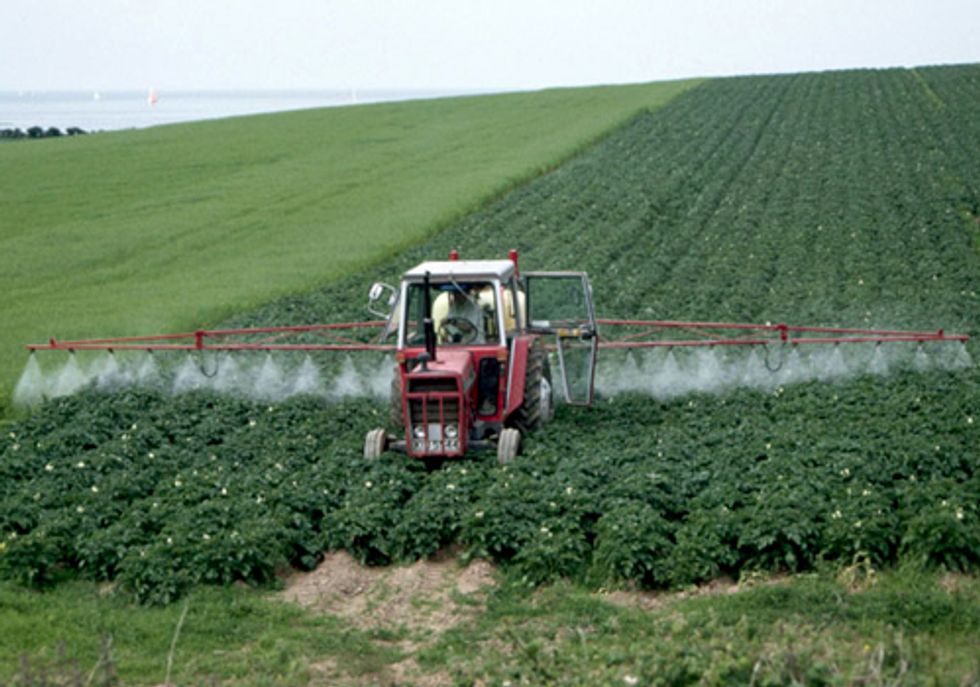 Monsanto Declared Worst Company of 2011