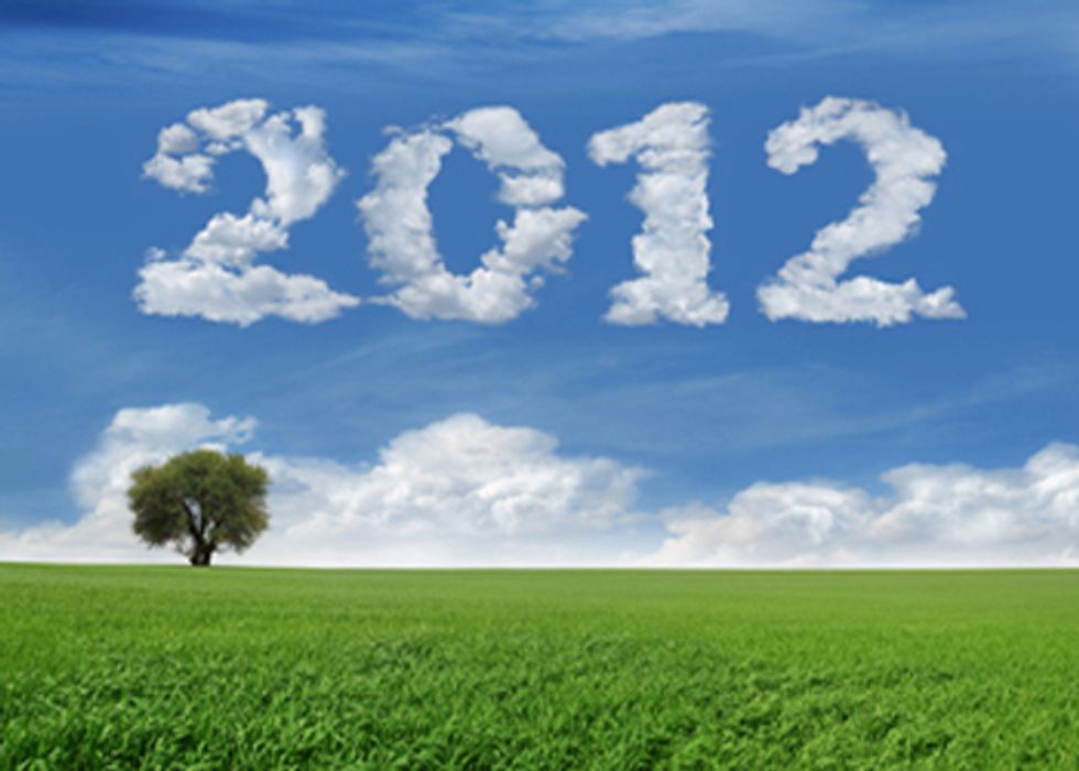 12 Simple Steps for Going Green in 2012
