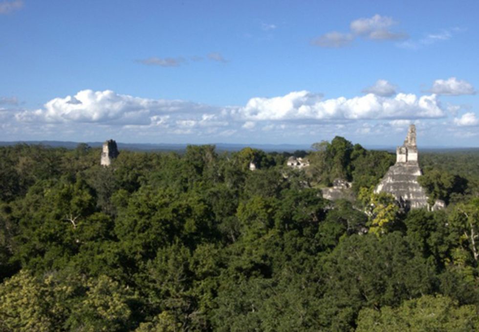 Wildlife Conservation Society Presents Biosphere Report To President of Guatemala