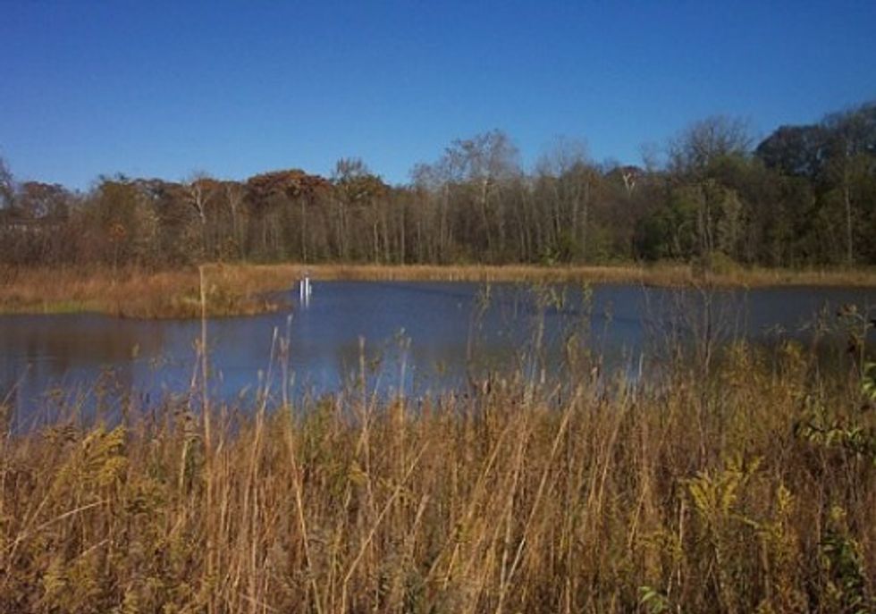 Sierra Club Granted Intervener Status in Ohio State Wetlands Hearing