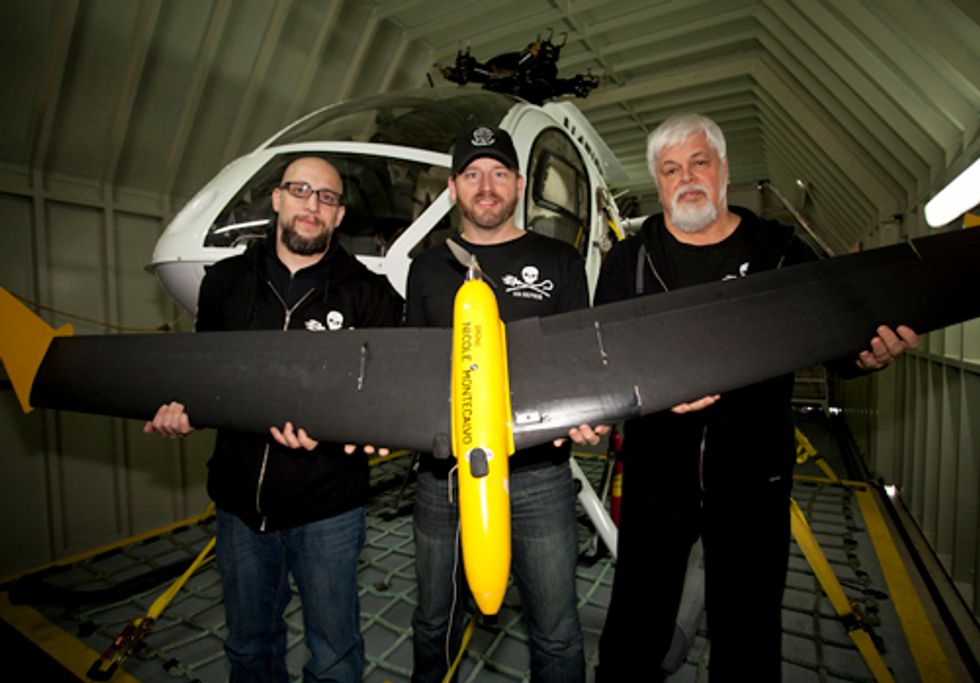 Sea Shepherd Moves in on Japanese Whaling Fleet in French Antarctic