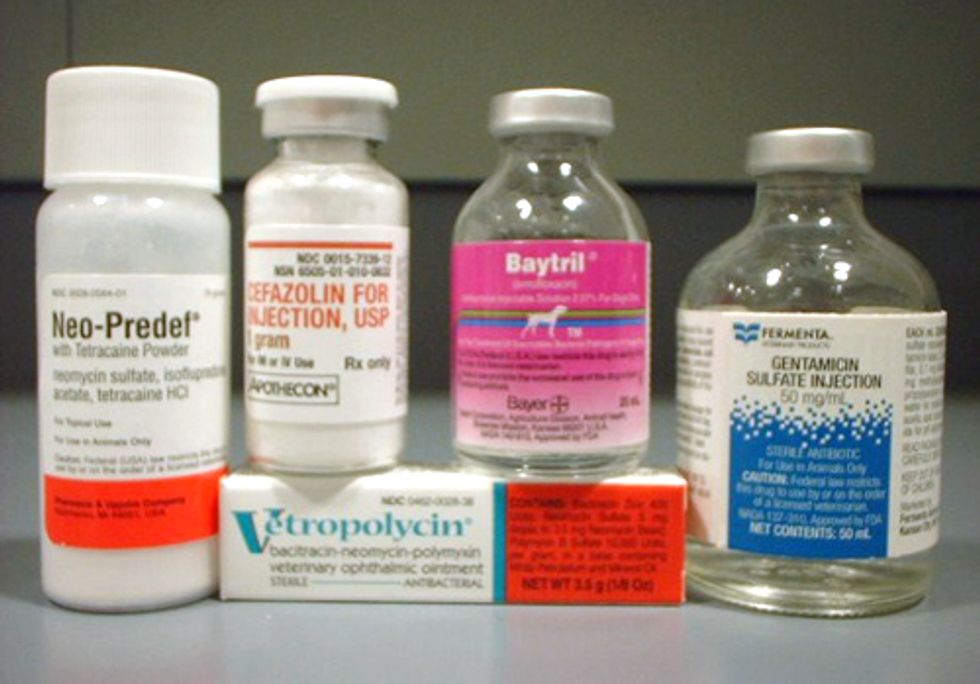 Pew Applauds Measure to Preserve Effectiveness of Critical Antibiotics