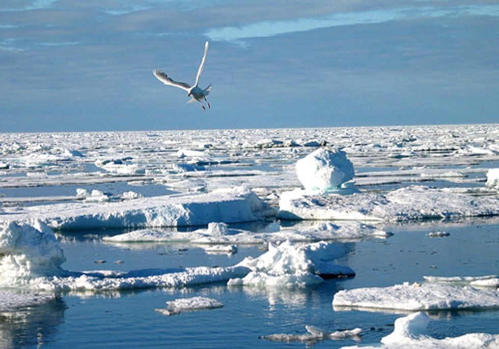 Obama's Offshore Oil Drilling Plan