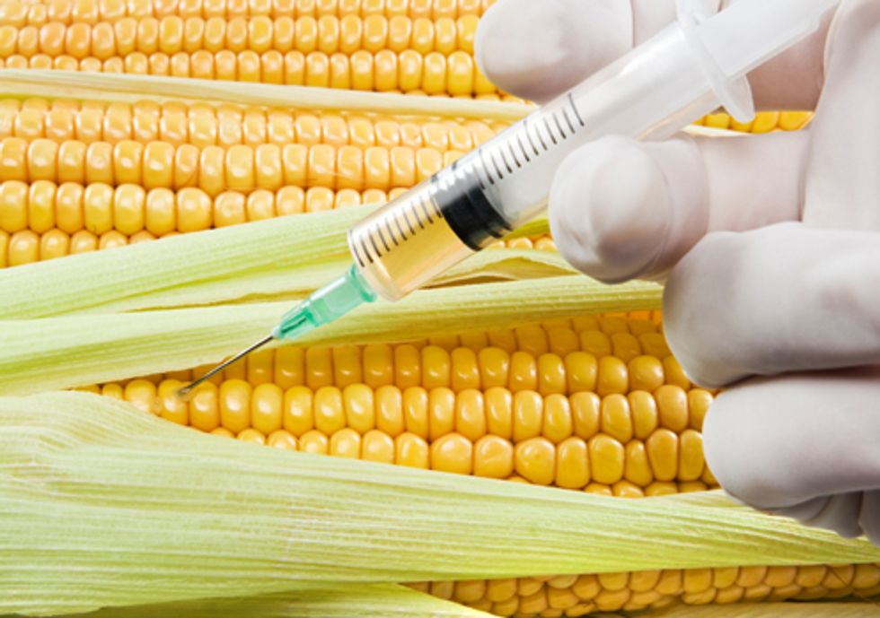 Ask Walmart to Reject Monsanto's Genetically Engineered Corn