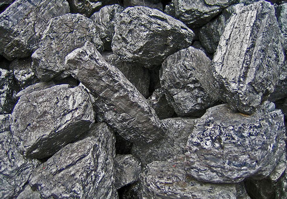 Tell the U.S. Forest Service to Protect Illinois' Forests from Coal