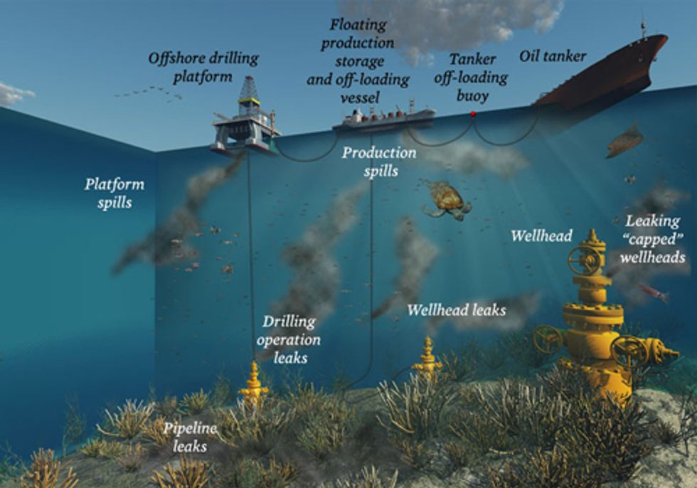 Oceana Urges Cancellation of Central Gulf Lease Sale