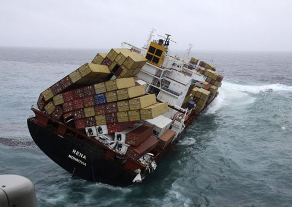 Oiled Wildlife Death Toll Is ‘Tip of the Iceberg’