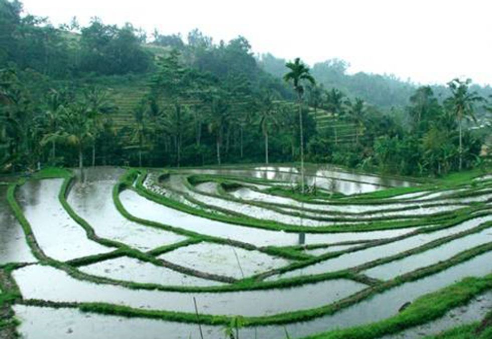 New Project to Promote 'Climate-Smart' Farming