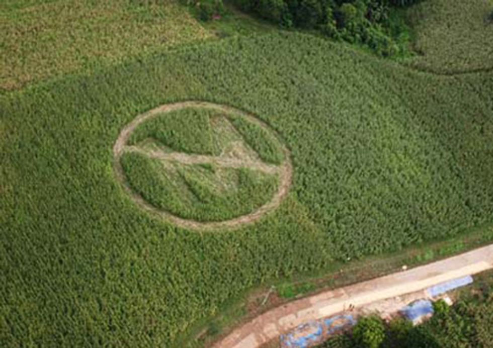Support Family Farmers in Their Case against Monsanto