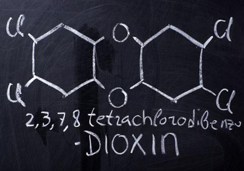 Food Industry Opposes U.S. EPA Limits on Dioxins