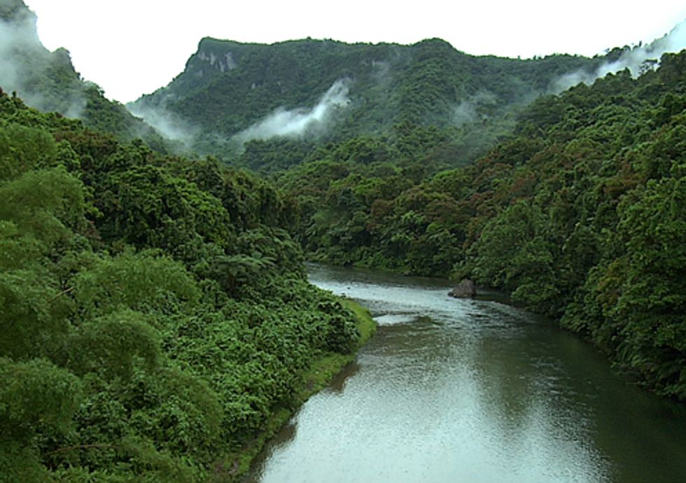 Study Shows Protecting Vital Habitats Can Ease Poverty