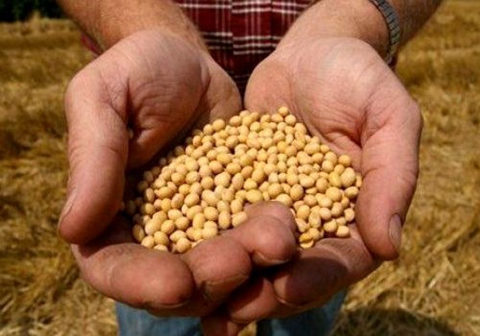 No Till, No Drill, No Problem: Integrating No-Till Methods into Organic Production Systems