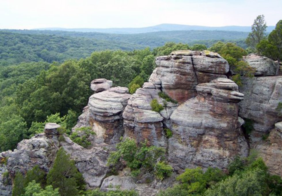 Judge Grants Oral Arguments Regarding Injunction on Shawnee National Forest
