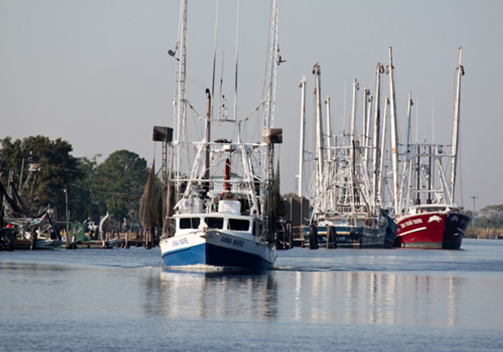 New Science-Based Catch Limits Announced to Stop Overfishing