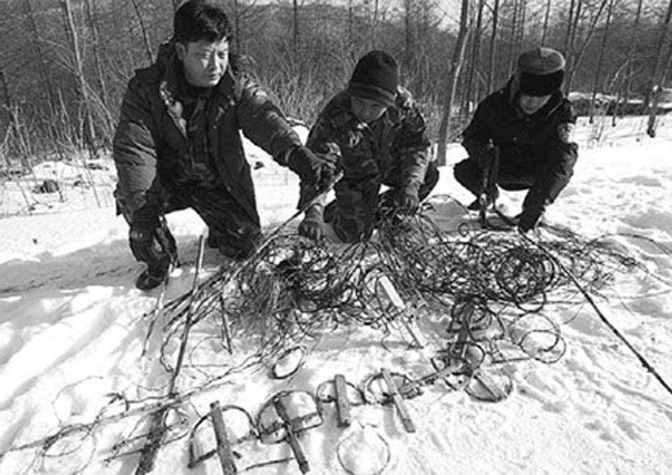 Group Clears Tiger Snares in China