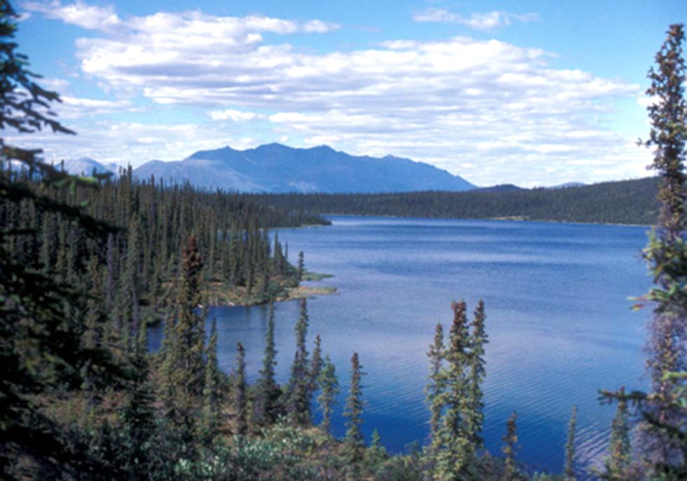 ACTION: Republican Leaders Vote to Open Arctic Refuge to Drilling