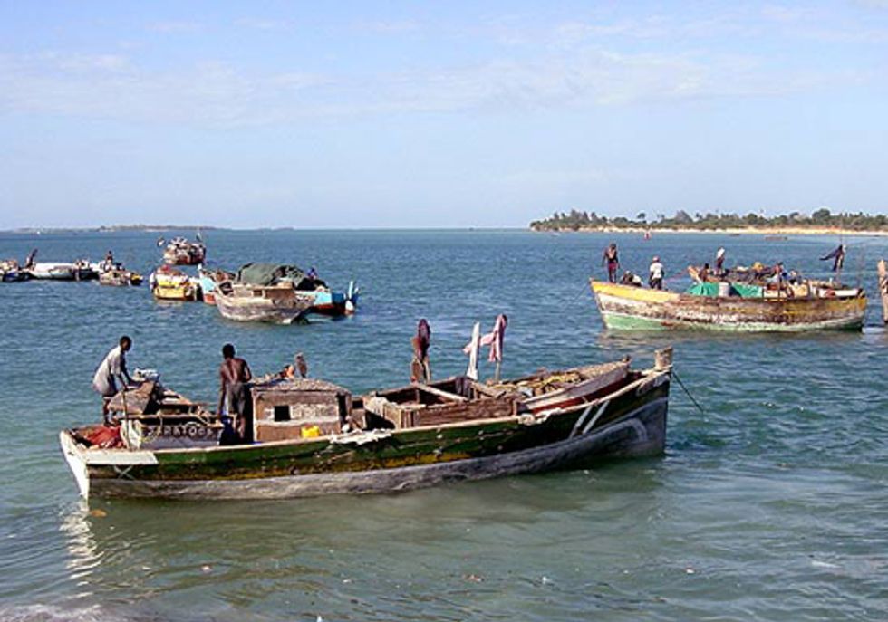 Why Fishermen Keep Fishing Despite Dwindling Catches