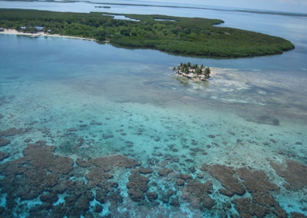Mesoamerican Reef Management Insufficient for Necessary Protection