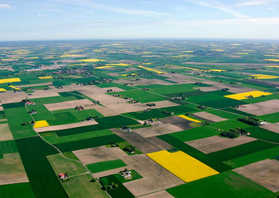 What's Influencing the 2012 Farm Bill Debate?