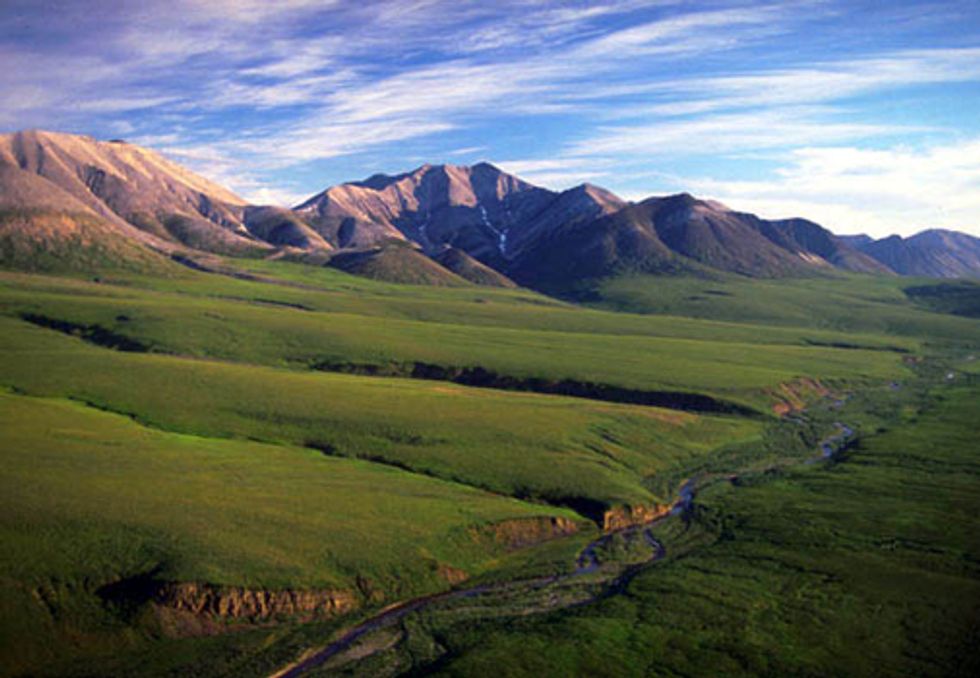ACTION: Rep. Fudge to Vote on Arctic Refuge Drilling this Week