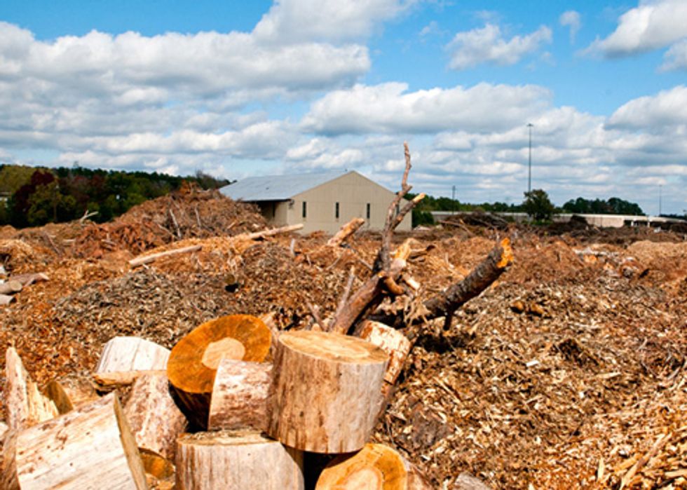 Biomass Energy May Accelerate Global Warming