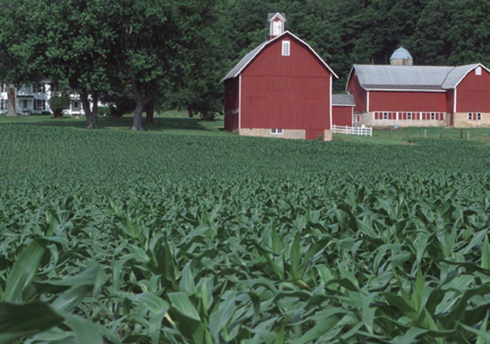 Ad Campaign Targets Farm Bill Conservation Cuts