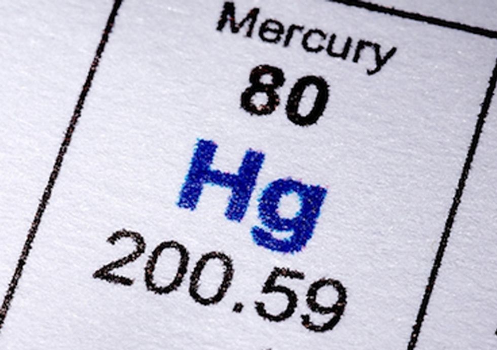 Polluters Move to Block Landmark Mercury Protections