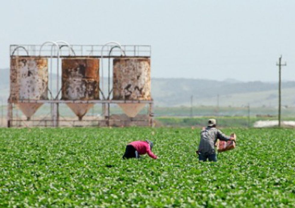 California Farm County Says No to Methyl Iodide