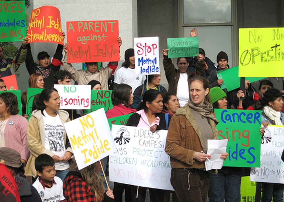 60,000+ People Urge Chief Pesticide Regulator to Ban Methyl Iodide