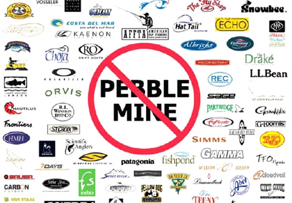 Risks of Pebble Mine Project Stirs Opposition on All Fronts