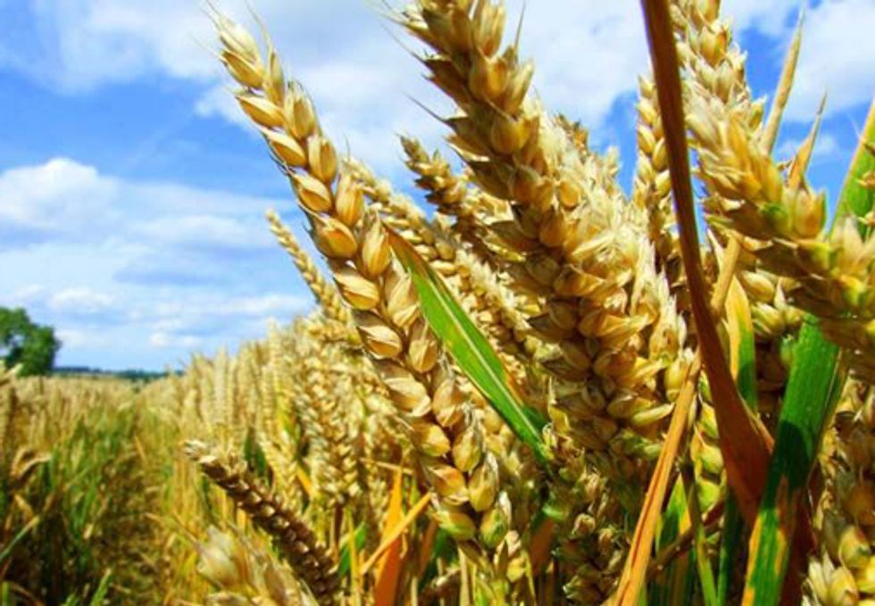 National Farmers Union Calls for a Moratorium on Fracking
