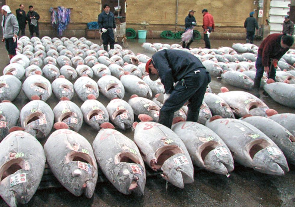World Fisheries are in Trouble, Better Management Needed