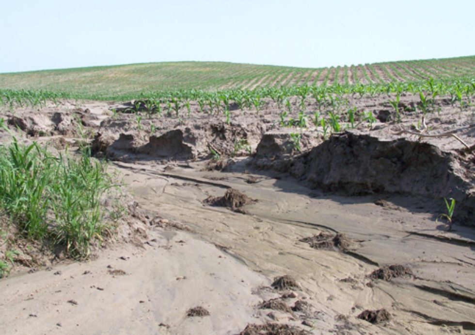 America’s Conservation Compact Is Eroding Despite Farmers’ Support