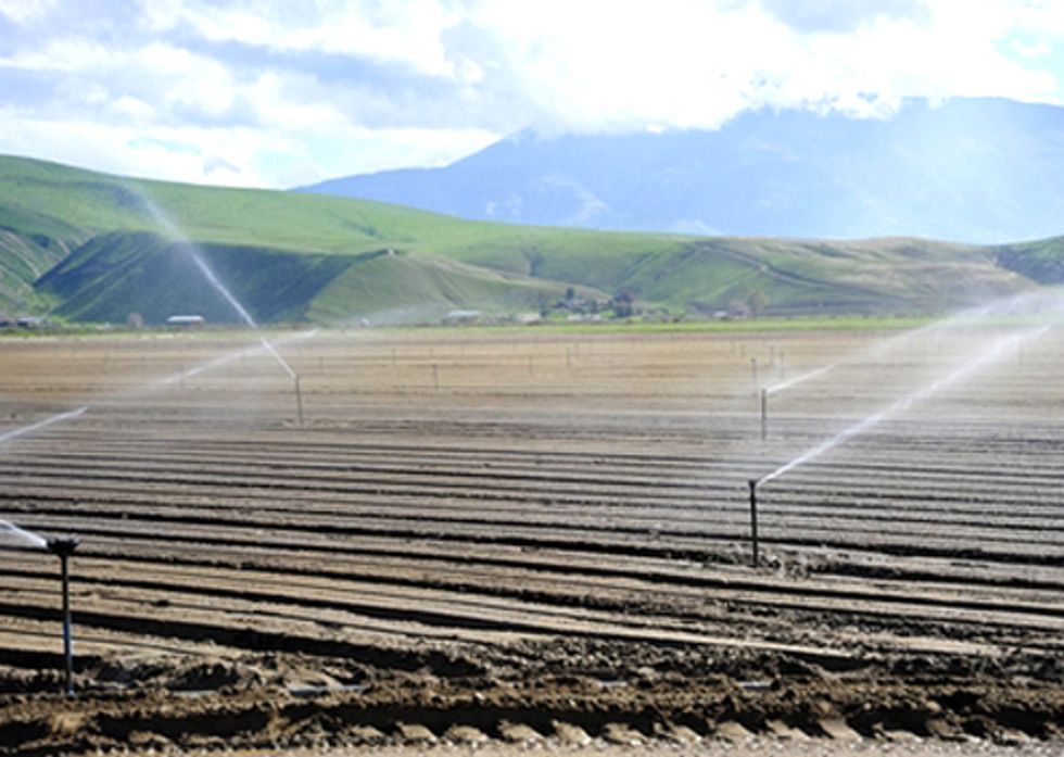 Bill Threatens Salmon Runs for Wealthiest Agribusinesses
