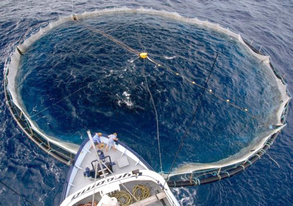 Overfishing Leaves Swaths of Mediterranean Barren